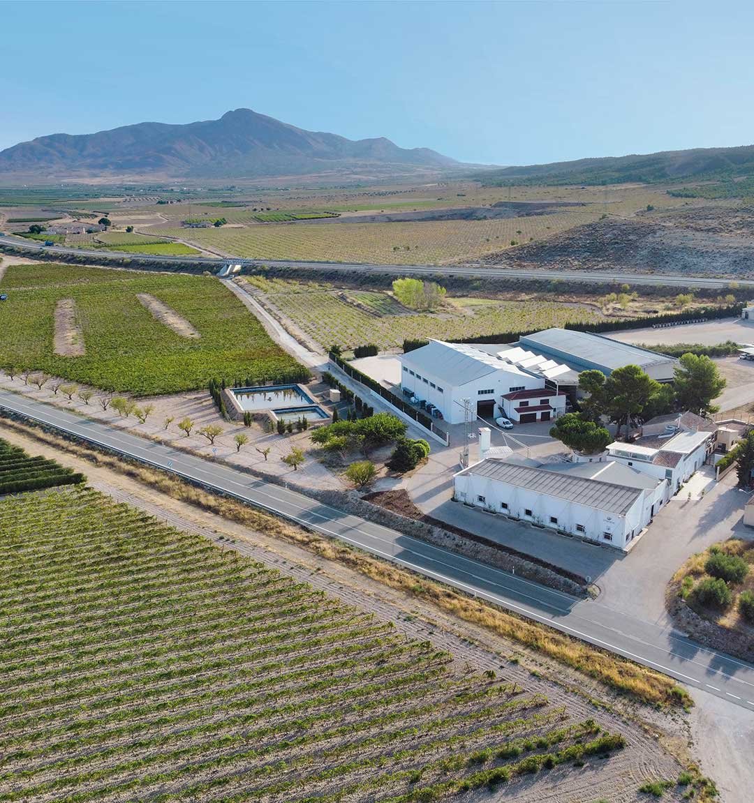 VIÑA ELENA WINERY AT JUMILLA